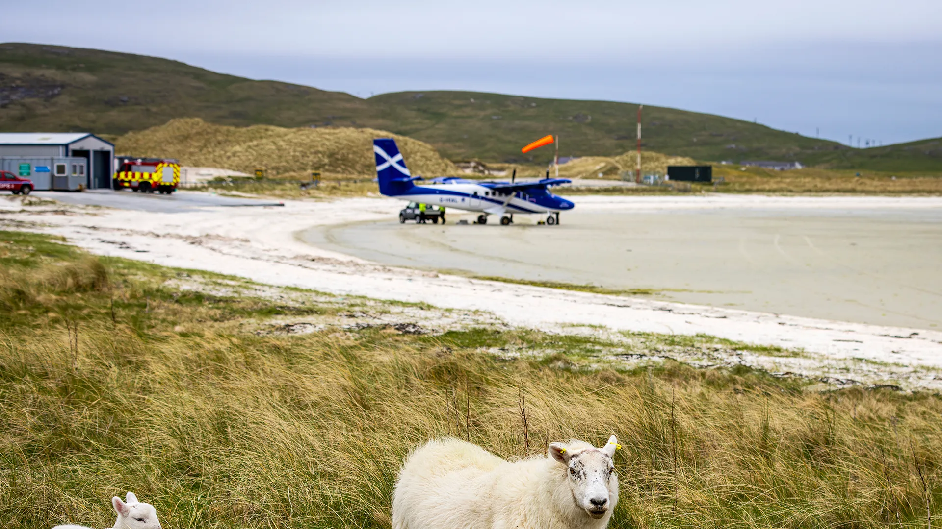Flüge nach Schottland